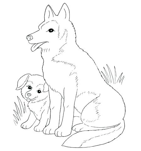 Labrador Retriever Coloring Pages Junior Coloring Page Labrador 449x480 Labrador Retriever Coloring Pages Junior Coloring Page Labrador