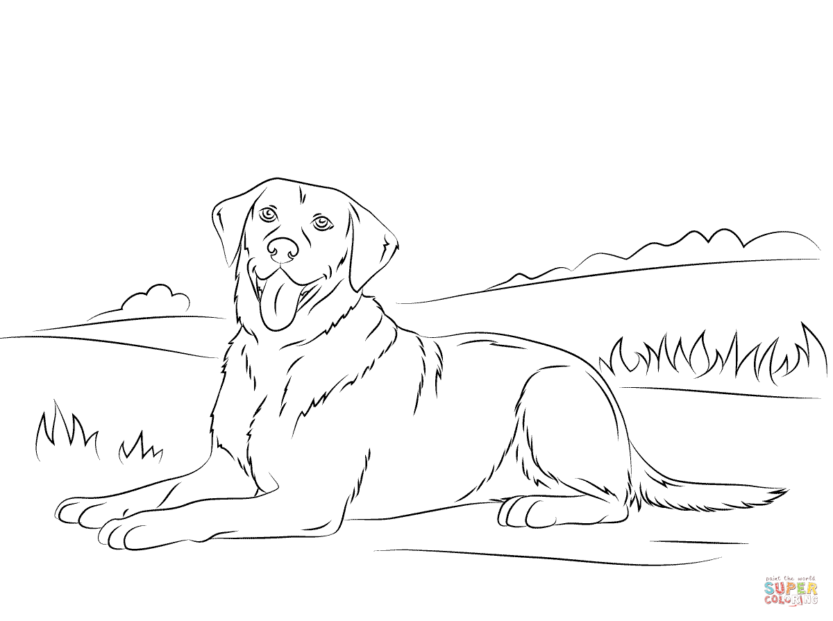 Labrador Retriever Coloring Page.png Asher's Birthday 1200x895 Labrador Retriever Coloring Page.png Asher's Birthday