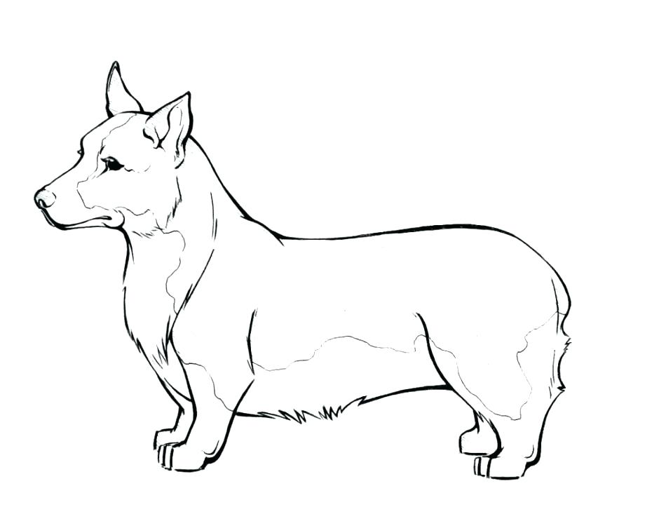 Dog Color Page Full Size Of Coloring Doggy Coloring Pages Elegant 940x743 Dog Color Page Full Size Of Coloring Doggy Coloring Pages Elegant