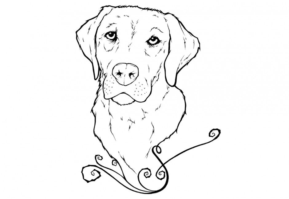 940x646 Color Book Pages Free Lab Dog Labrador Puppies Colouring Pages