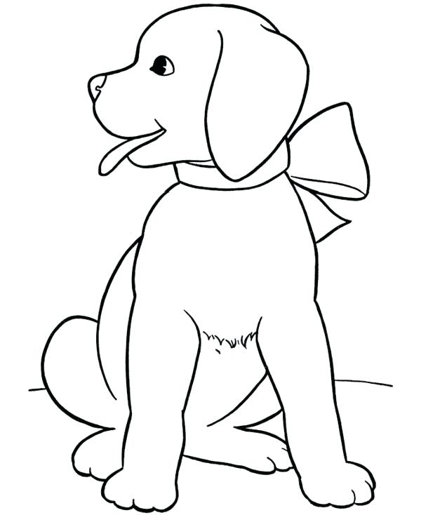 600x734 Yellow Lab Puppy Coloring Pages