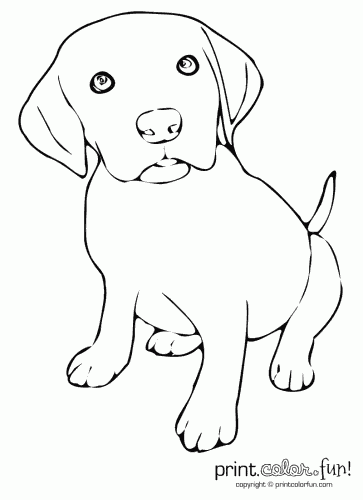 Cute Puppy Coloring Page Print Color Fun!, Labrador Coloring Pages 363x500 Cute Puppy Coloring Page Print Color Fun!, Labrador Coloring Pages