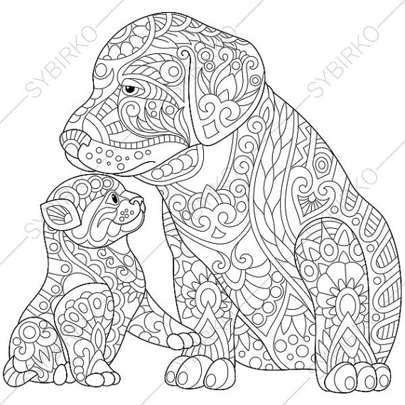 Labrador Puppy And Kitten. Coloring Page For Friendship Day 570x570 Labrador Puppy And Kitten. Coloring Page For Friendship Day