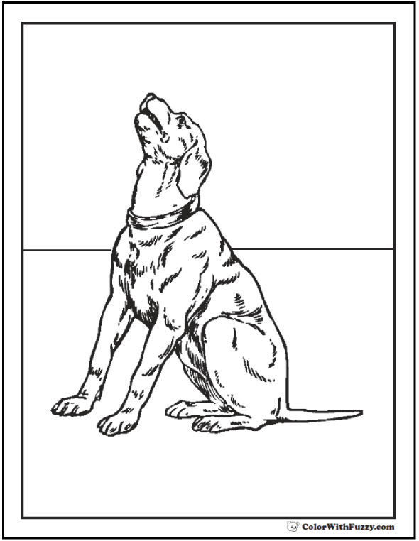 Dog Coloring Pages Breeds, Bones, And Dog Houses 590x762 Dog Coloring Pages Breeds, Bones, And Dog Houses
