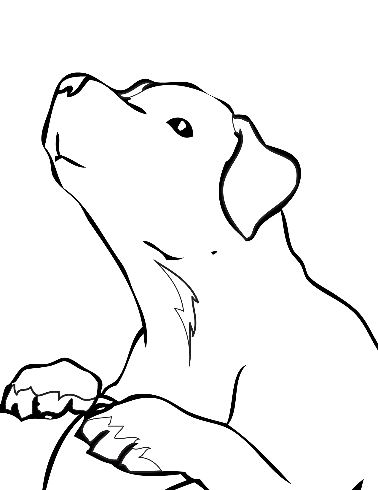 Labrador Retriever Coloring Page 1275x1650 Labrador Retriever Coloring Page