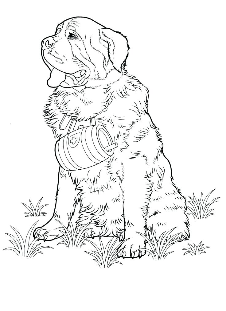 Labrador Retriever Coloring Pages Dog Coloring Pages Teenagers 736x1010 Labrador Retriever Coloring Pages Dog Coloring Pages Teenagers