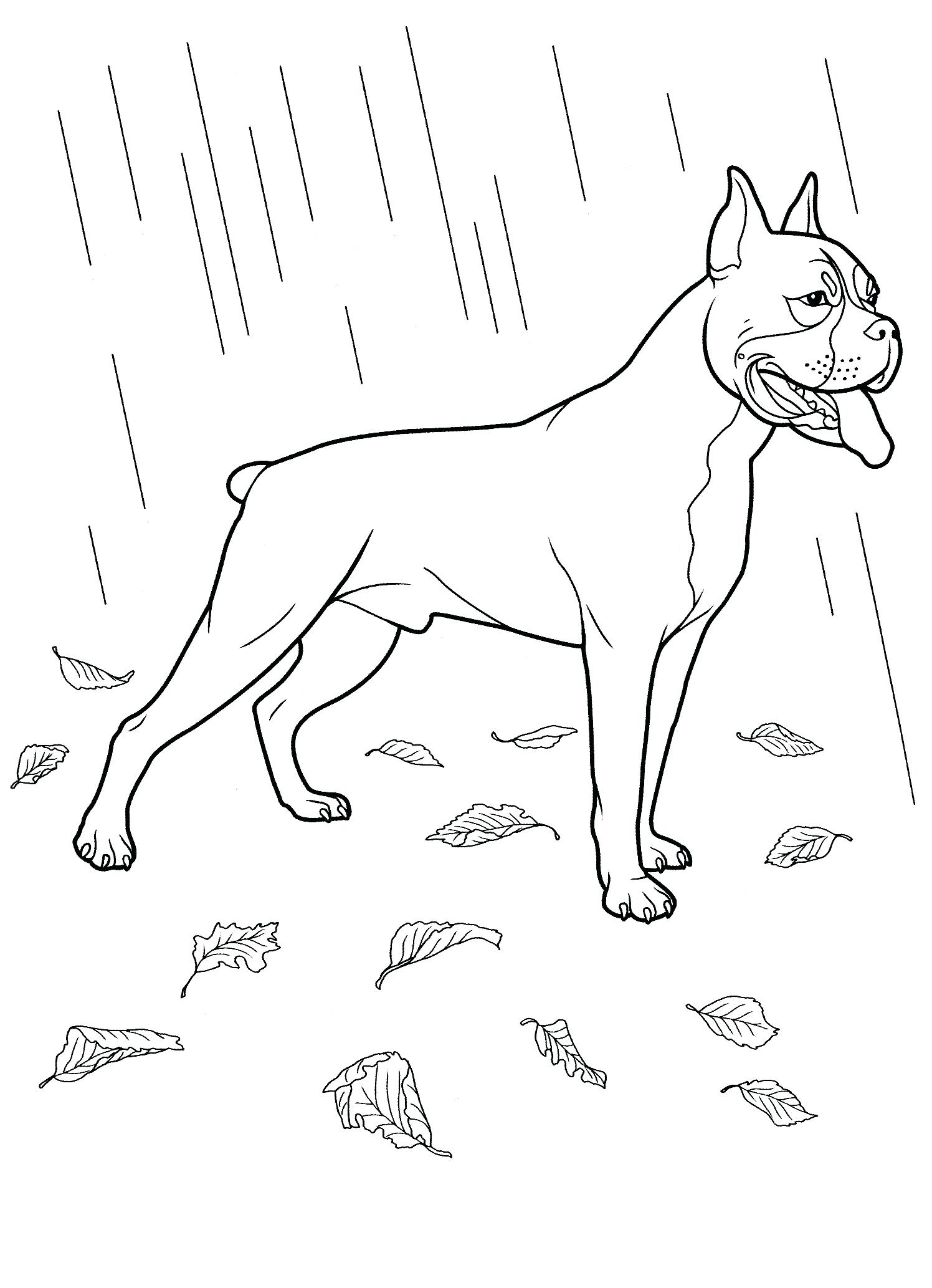 Labrador Retriever Coloring Pages Dog Teenagers With Labrador 1496x2066 Labrador Retriever Coloring Pages Dog Teenagers With Labrador
