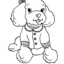 Labrador Coloring Pages 220x220 Labrador Coloring Pages