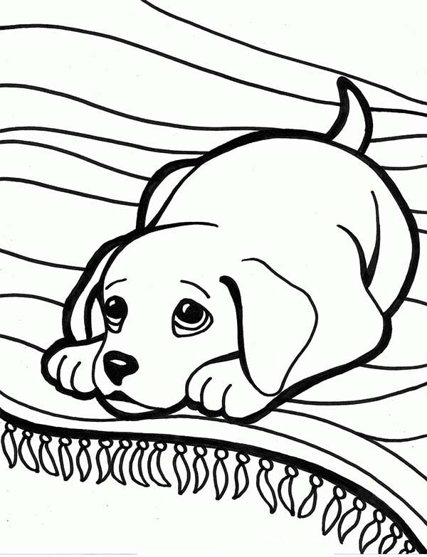 Coloring Pages Labrador 600x783 Coloring Pages Labrador