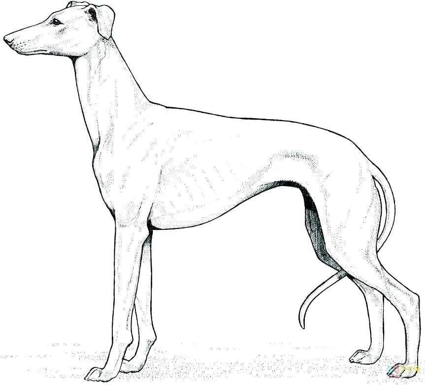 863x782 Computer Lab Coloring Page Twisty Noodle Black Lab Coloring Pages