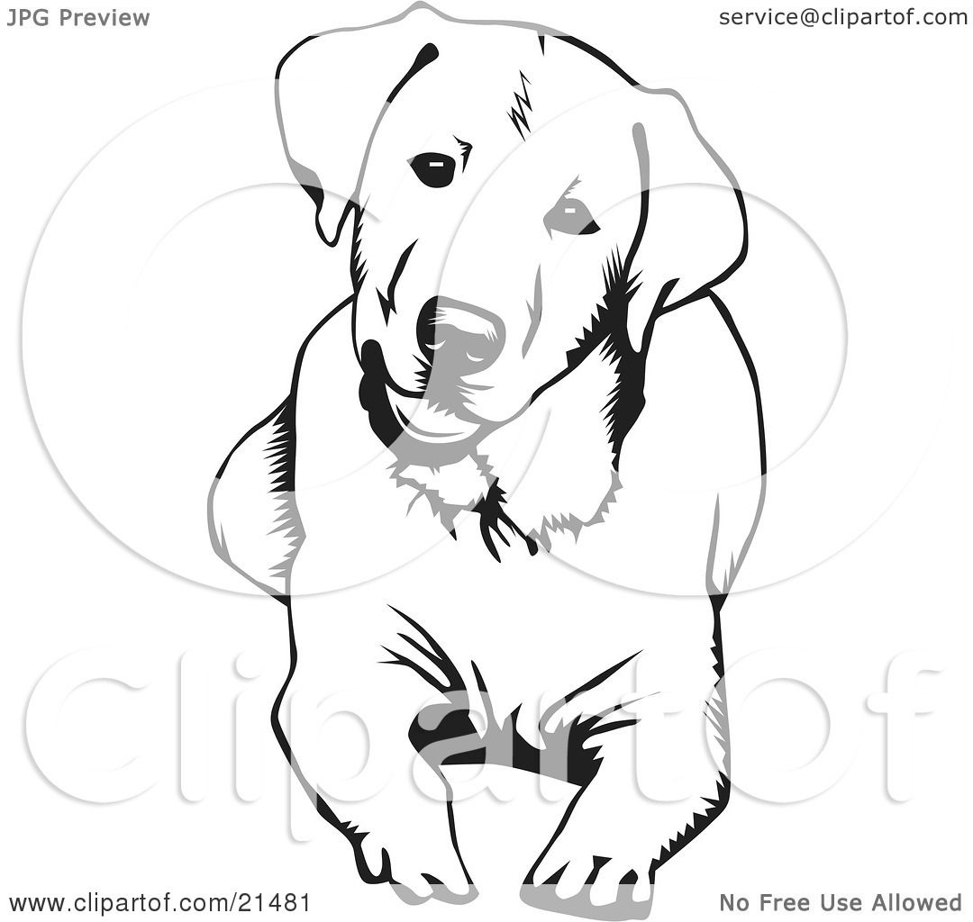 Labrador Dog Coloring Pages at GetColorings.com | Free printable