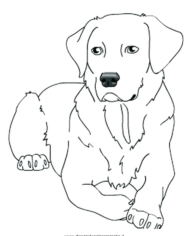 640x797 Printable Dogs Coloring Pages Dog Coloring Page Chocolate Lab