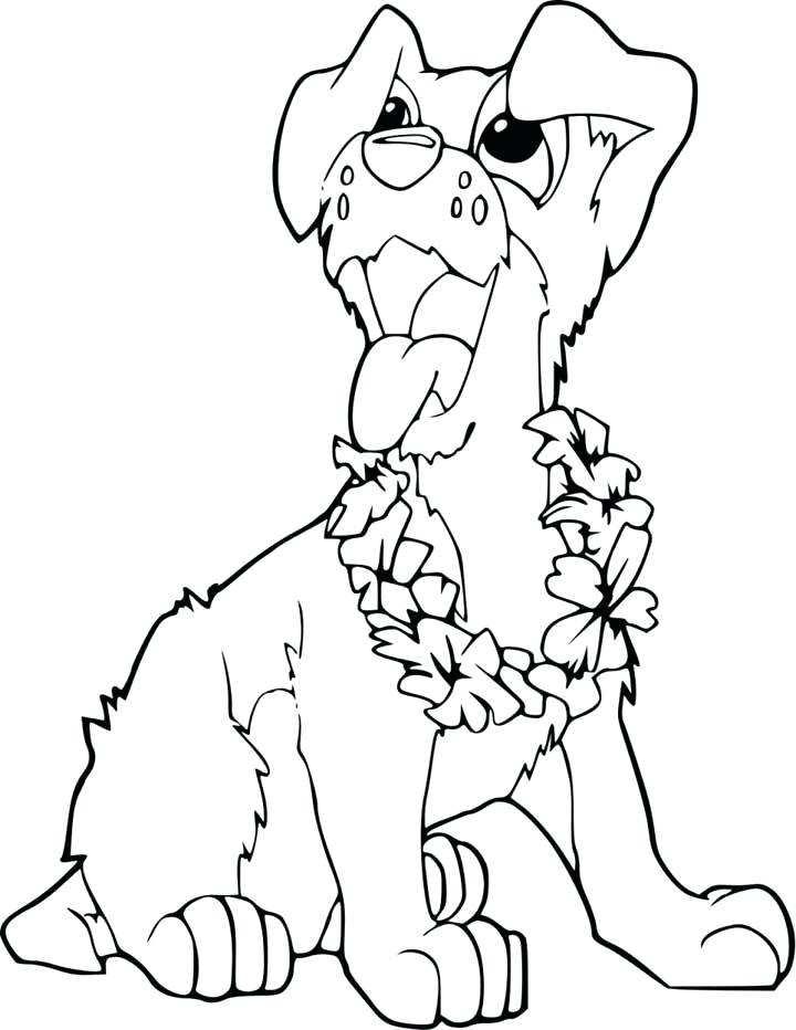 720x932 Retriever Coloring Retriever Coloring Pages Chocolate Lab Coloring