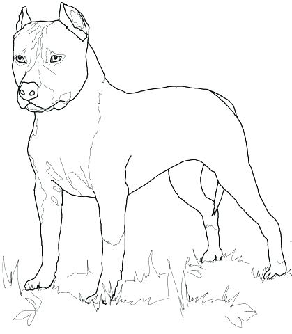 419x480 Black Lab Coloring Pages Black Lab Coloring Pages Egg Coloring