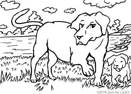 450x325 Black Lab Dog Coloring Pages Free
