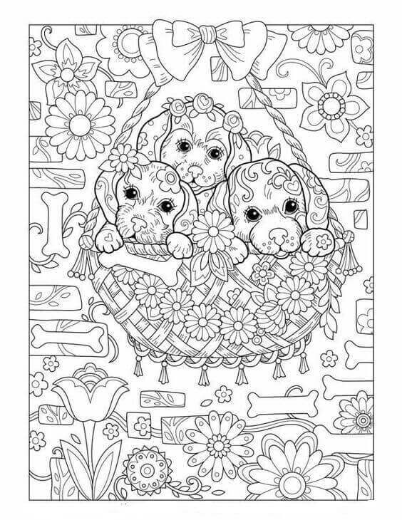 Labrador Puppy Coloring Pages