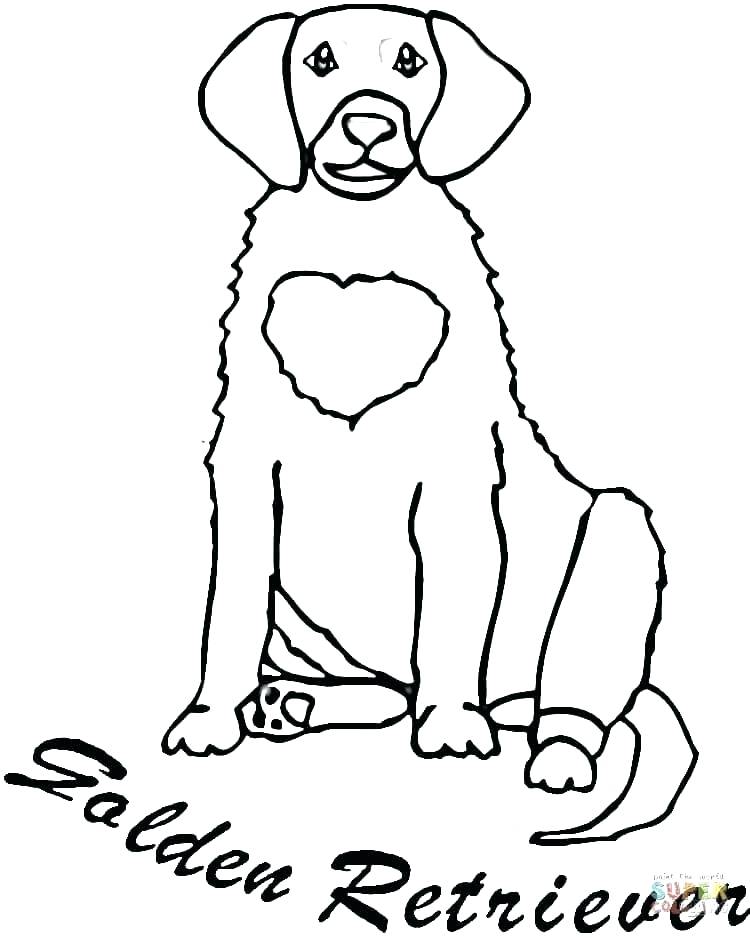 Labrador Coloring Pages Retriever Coloring Pages Click The Golden 750x938 Labrador Coloring Pages Retriever Coloring Pages Click The Golden