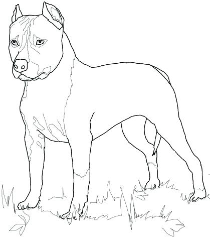 Labrador Retriever Coloring Pages Retriever Coloring Pages 419x480 Labrador Retriever Coloring Pages Retriever Coloring Pages