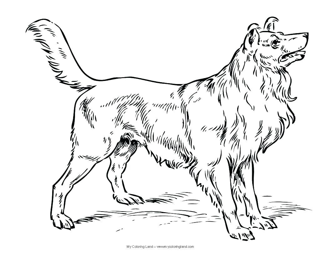 Labrador With Puppies Coloring Page Lovely Realistic Pages Of Dogs 1056x816 Labrador With Puppies Coloring Page Lovely Realistic Pages Of Dogs