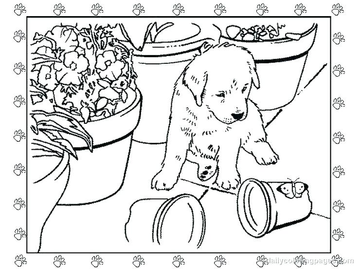 Puppy Color Pages Beagle Coloring Pages Coloring Page Magnificent 736x552 Puppy Color Pages Beagle Coloring Pages Coloring Page Magnificent