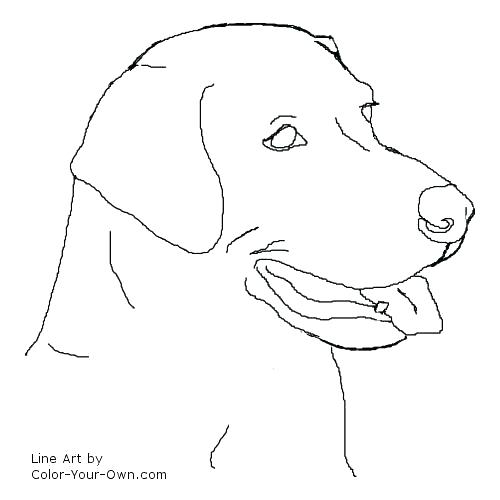 Black Labrador Coloring Pages Puppy Coloring Pages Barbie Puppy 500x500 Black Labrador Coloring Pages Puppy Coloring Pages Barbie Puppy