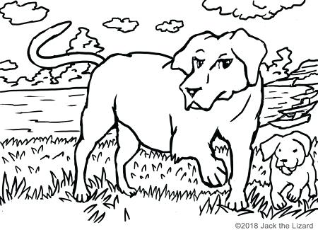 Labrador Retriever Coloring Pages Coloring Pages Of Retrievers 450x325 Labrador Retriever Coloring Pages Coloring Pages Of Retrievers