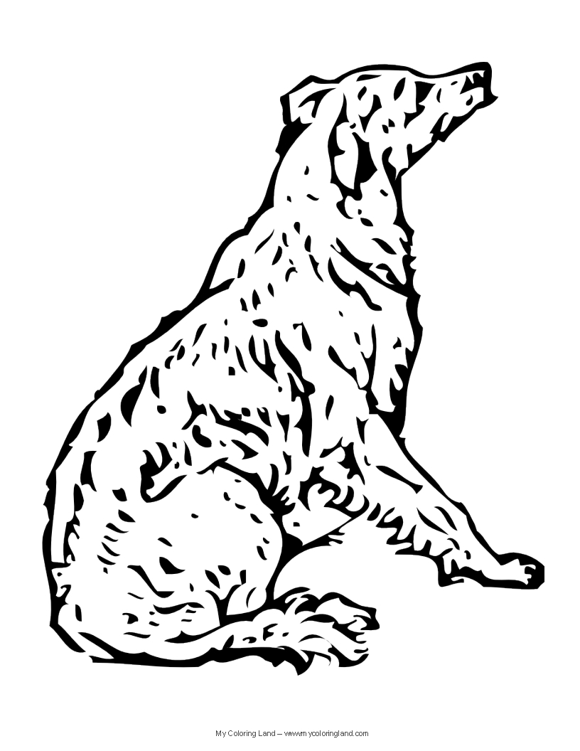 Best Of Adult Coloring Pages Of A Dog Lab Gallery Printable 816x1056 Best Of Adult Coloring Pages Of A Dog Lab Gallery Printable