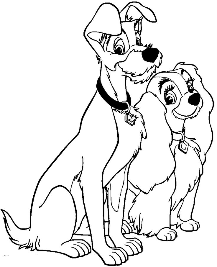 30 Best Lady And The Tramp Coloring Pages Images 736x905 30 Best Lady And The Tramp Coloring Pages Images