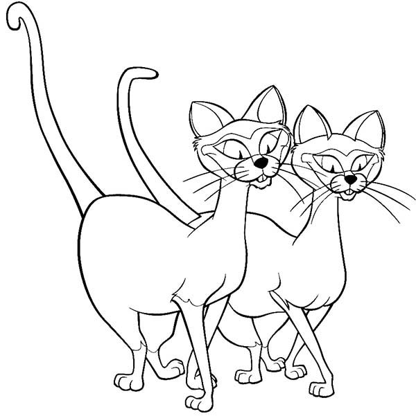 Siamese Coloring Pages 600x601 Siamese Coloring Pages