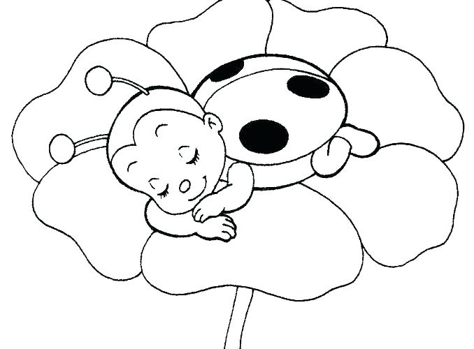 678x500 Lady Bug Coloring Page Lady Bug Color Page Picture Of A Ladybug
