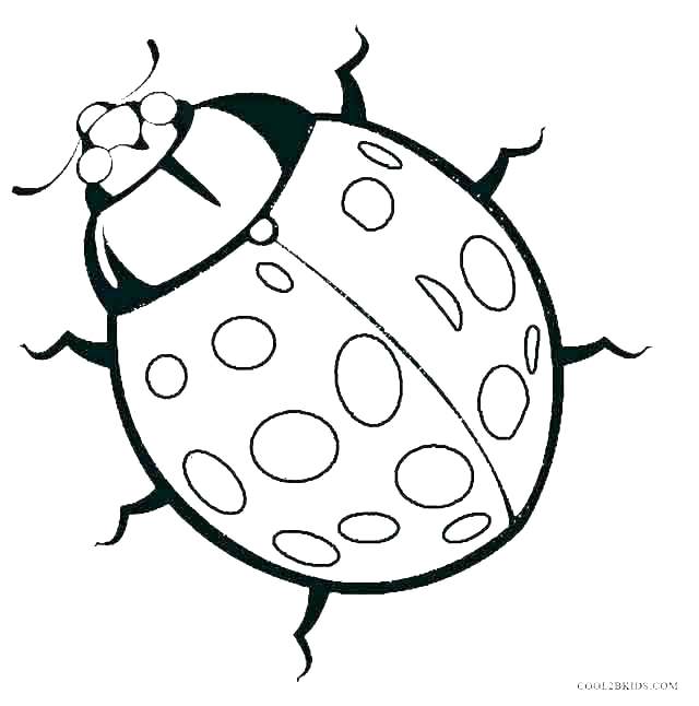 640x646 Lady Bug Coloring Pages Love Bug Coloring Pages Hearts Coloring