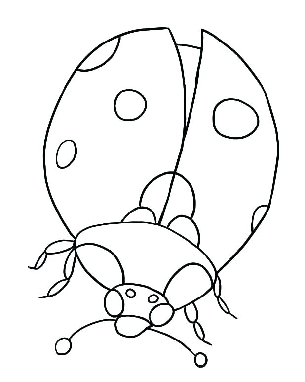 618x773 Lady Bug Coloring Sheet Ladybug Coloring Pages Vibrant Design