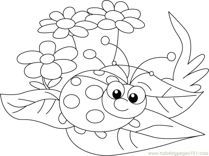 Ladybird Colouring Pages at GetColorings.com | Free printable colorings ...