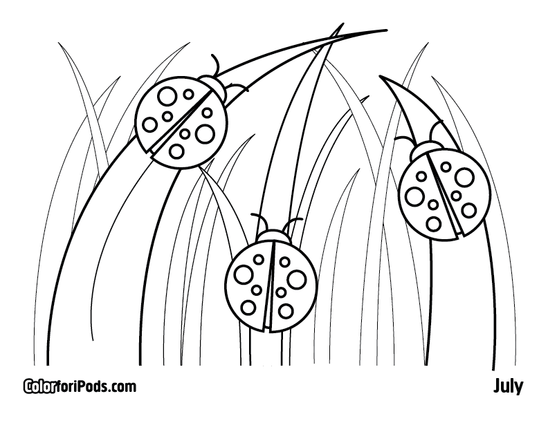 Ladybird Colouring Pages at GetColorings.com | Free printable colorings ...