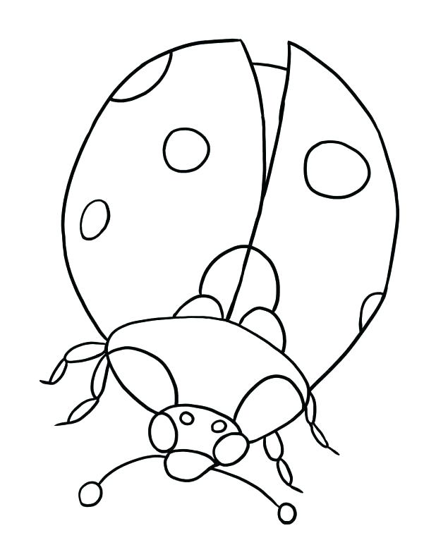 618x773 Cute Ladybug Coloring Pages Ladybug Coloring Pages Cute Ladybug