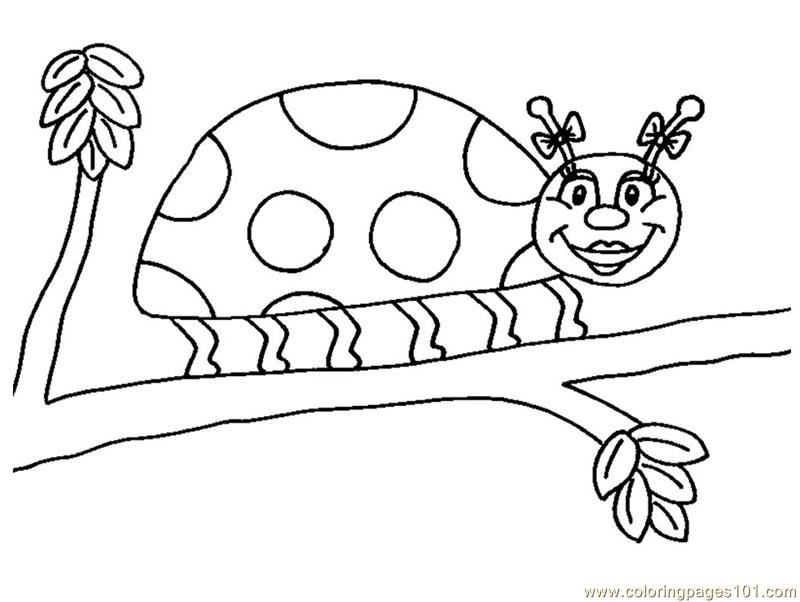 800x602 Ladybug Coloring Page Free Ladybugs Coloring Pages Ladybug