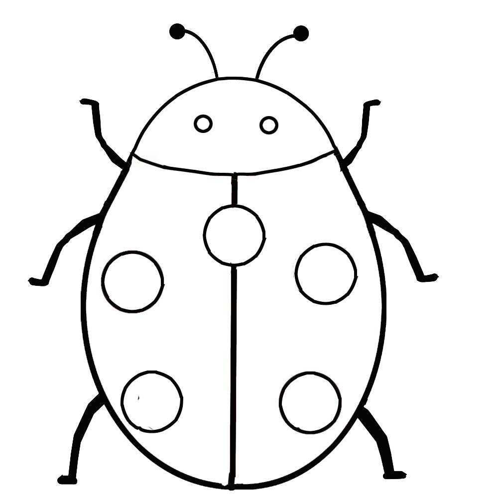 1000x1000 Ladybug Coloring Pages