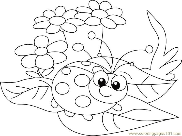 Ladybug Coloring Page at GetColorings.com | Free printable colorings ...