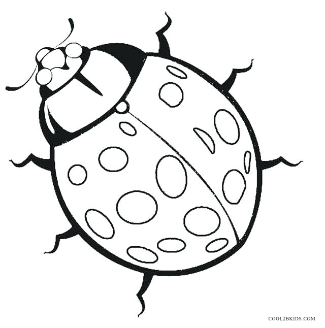 640x646 Ladybugs Coloring Pages Ladybug Coloring Pages Ladybug Between