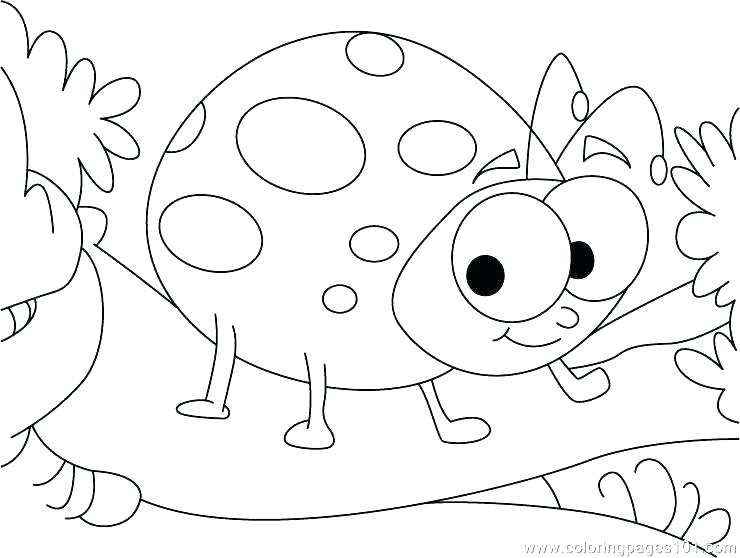 Lady Bug Coloring Sheet Ladybug Coloring Pages Ladybug Coloring 740x558 Lady Bug Coloring Sheet Ladybug Coloring Pages Ladybug Coloring