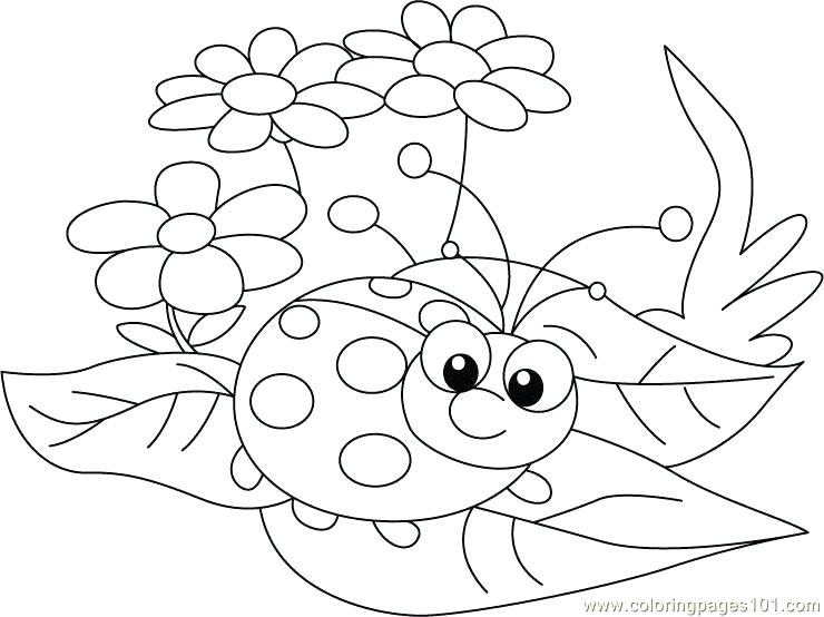 Ladybug Coloring Page For Kids Marvelous Ladybug Coloring Page 740x554 Ladybug Coloring Page For Kids Marvelous Ladybug Coloring Page