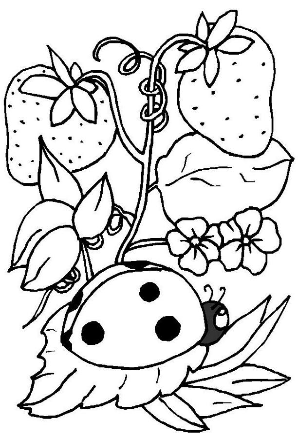 Ladybug Coloring Pages 612x900 Ladybug Coloring Pages