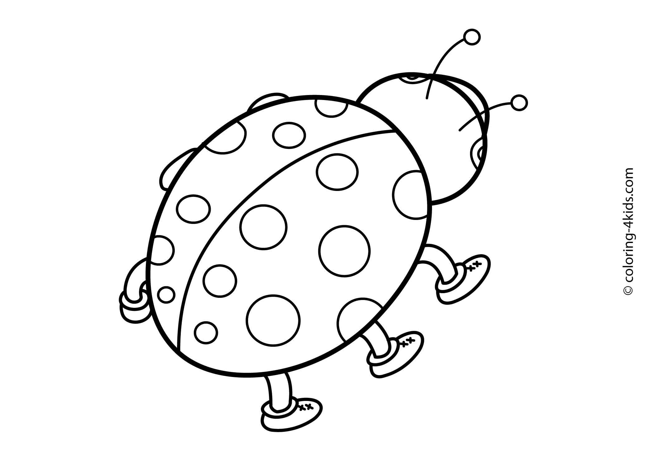 Ladybug Coloring Pages Coloring Pages Ladybird 2079x1483 Ladybug Coloring Pages Coloring Pages Ladybird