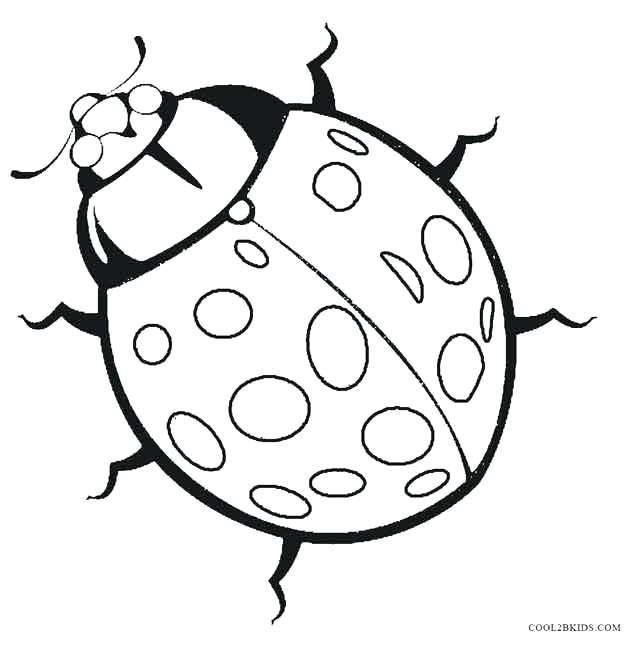 Realistic Ladybug Coloring Pages Printable Bug For Kids Free 640x646 Realistic Ladybug Coloring Pages Printable Bug For Kids Free