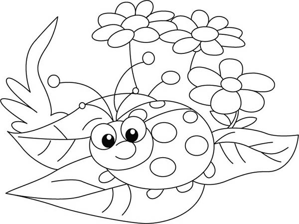 Ladybug Coloring Sheet 600x449 Ladybug Coloring Sheet