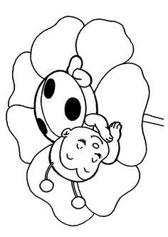 Ladybug Coloring Pages 236x333 Ladybug Coloring Pages