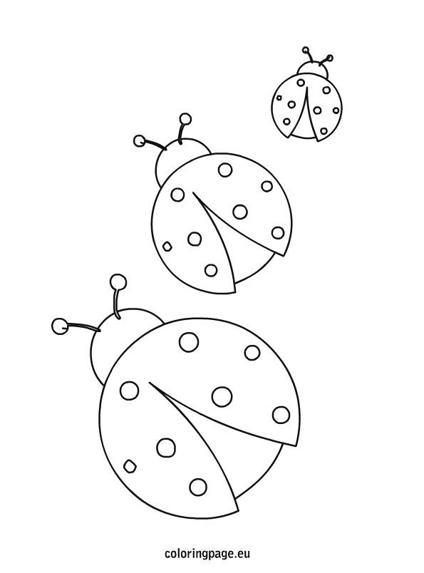 Simple Pictures Of Ladybugs To Color Drawn Ladybug Toddler Pencil 595x804 Simple Pictures Of Ladybugs To Color Drawn Ladybug Toddler Pencil