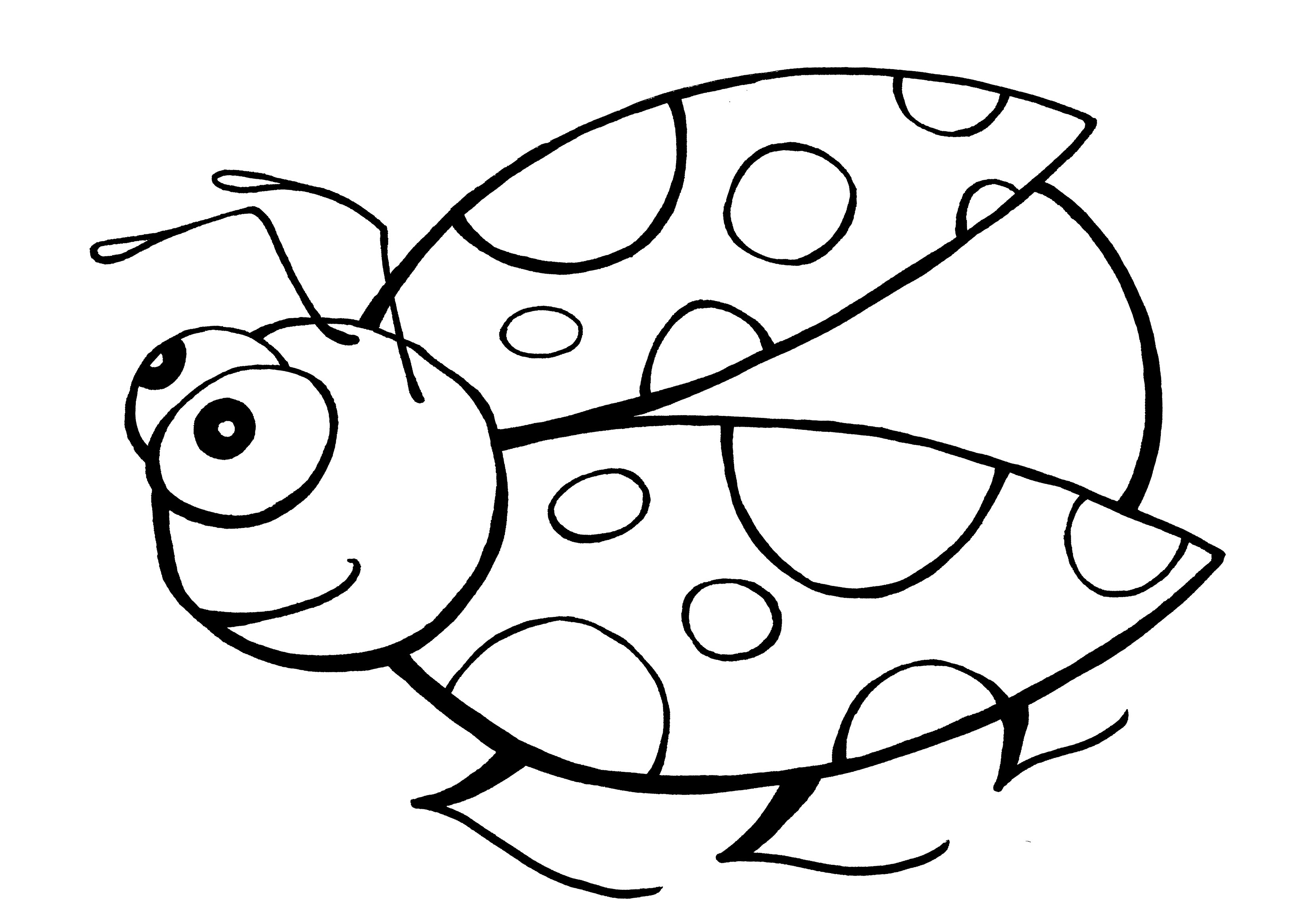 Valuable Idea Ladybug Coloring Page Pages For Preschoolers 3300x2326 Valuable Idea Ladybug Coloring Page Pages For Preschoolers