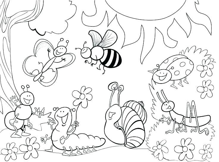 Coloring Bugs Creative Decoration Bug Coloring Pages Insects 736x545 Coloring Bugs Creative Decoration Bug Coloring Pages Insects