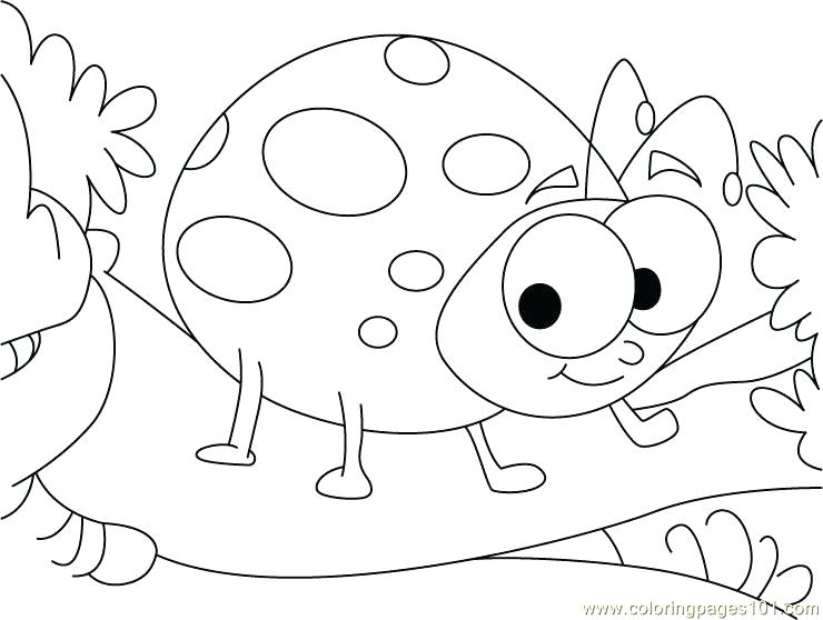 740x558 Ladybug Coloring Page The Very Grouchy Ladybug Coloring Pages